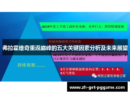 弗拉霍维奇重返巅峰的五大关键因素分析及未来展望 弗拉霍维奇重返巅峰的五大关键因素分析及未来展望