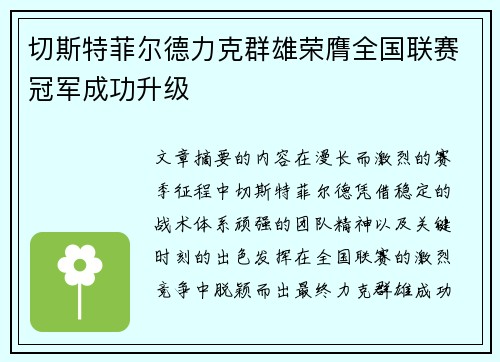 切斯特菲尔德力克群雄荣膺全国联赛冠军成功升级 切斯特菲尔德力克群雄荣膺全国联赛冠军成功升级