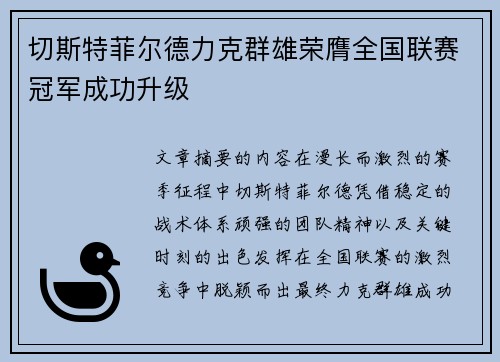 切斯特菲尔德力克群雄荣膺全国联赛冠军成功升级 切斯特菲尔德力克群雄荣膺全国联赛冠军成功升级