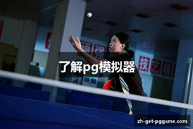 了解pg模拟器